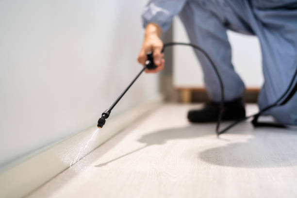 Rodent Entry Point Assessment in San Clemente