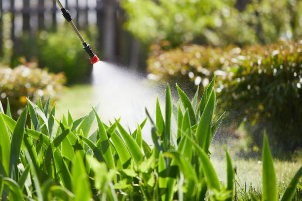 Tamper-Resistant Bait Stations for Rodents in San Clemente