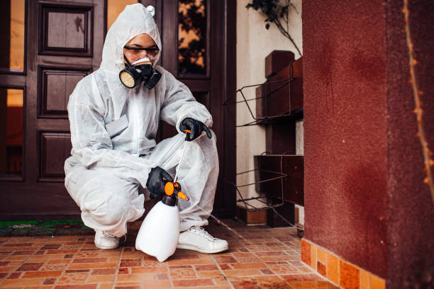 Attic and Crawl Space Rodent Treatment in San Clemente